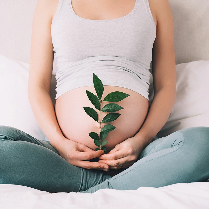 Family and Fertility Clinic